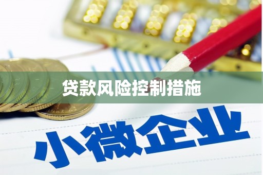 小港贷款风险控制措施