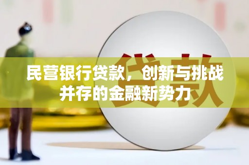 小港民营银行贷款，创新与挑战并存的金融新势力