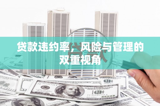 小港贷款违约率，风险与管理的双重视角