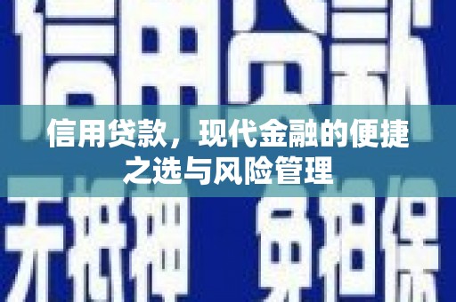 小港信用贷款，现代金融的便捷之选与风险管理