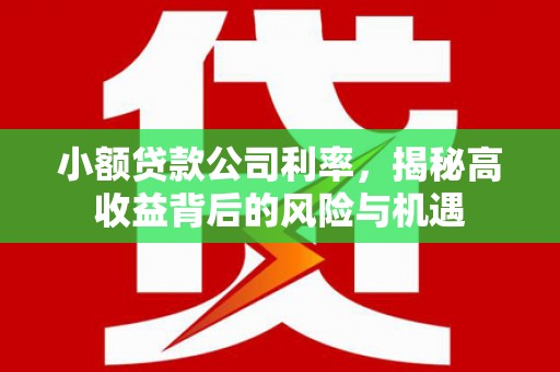 小港小额贷款公司利率，揭秘高收益背后的风险与机遇