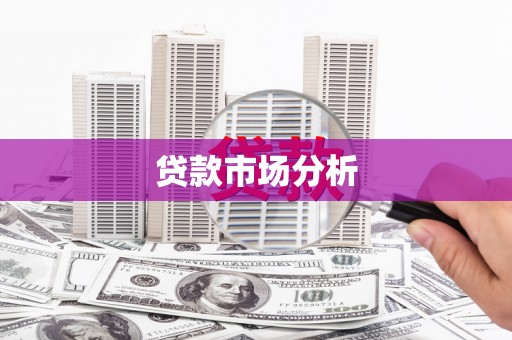 小港贷款市场分析