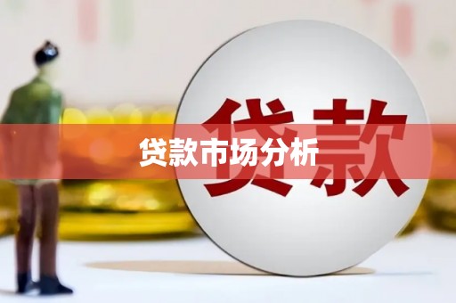 小港贷款市场分析