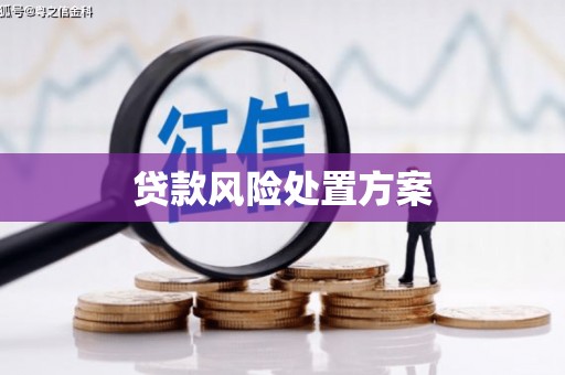 小港贷款风险处置方案