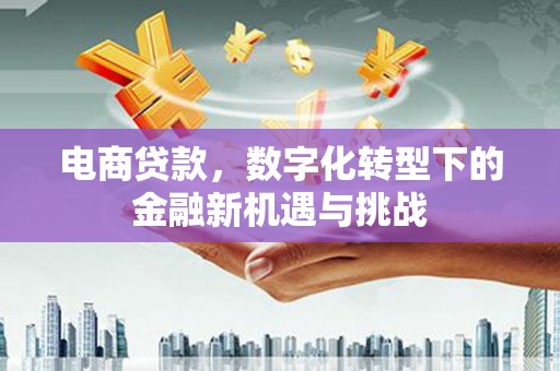 小港电商贷款，数字化转型下的金融新机遇与挑战