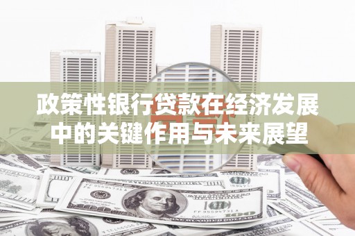 小港政策性银行贷款在经济发展中的关键作用与未来展望