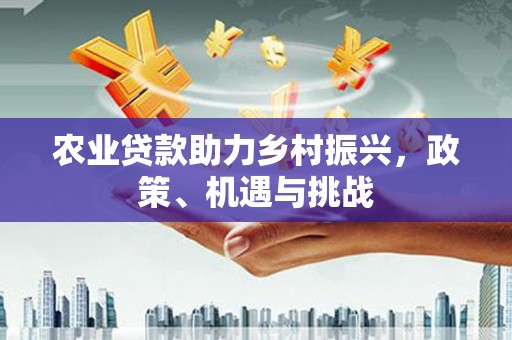小港农业贷款助力乡村振兴，政策、机遇与挑战