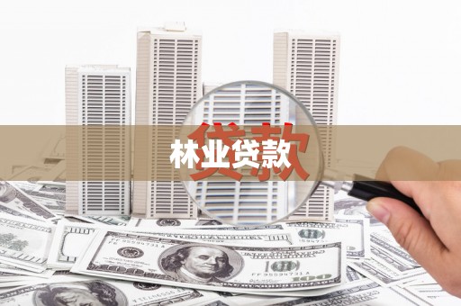 小港林业贷款