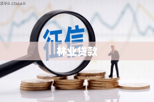 小港林业贷款