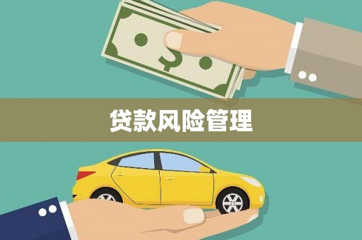 小港贷款风险管理
