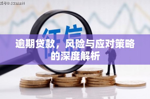 小港逾期贷款，风险与应对策略的深度解析