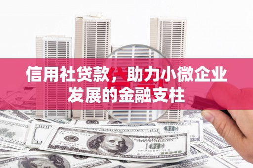 小港信用社贷款，助力小微企业发展的金融支柱