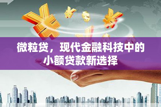 小港微粒贷，现代金融科技中的小额贷款新选择