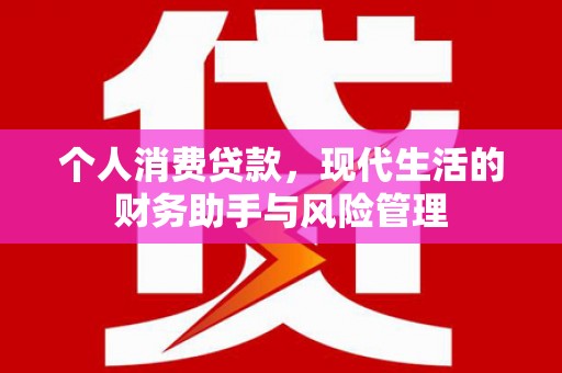 小港个人消费贷款，现代生活的财务助手与风险管理