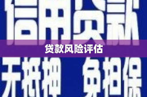小港贷款风险评估
