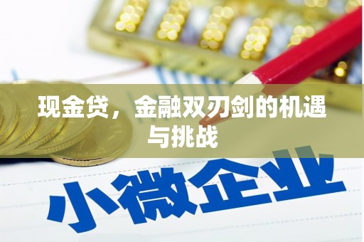 小港现金贷，金融双刃剑的机遇与挑战