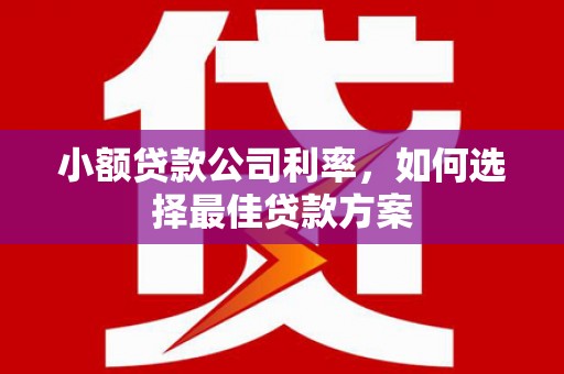 小港小额贷款公司利率，如何选择最佳贷款方案