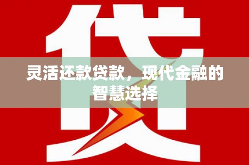 小港灵活还款贷款，现代金融的智慧选择