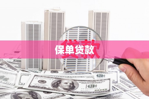 小港保单贷款