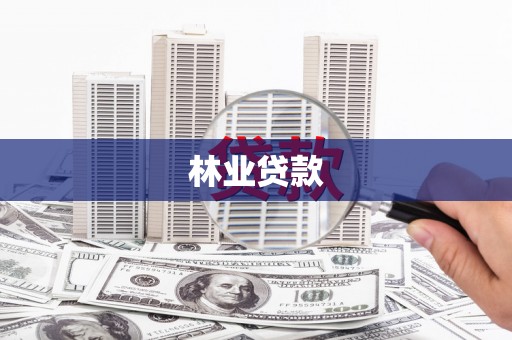 小港林业贷款
