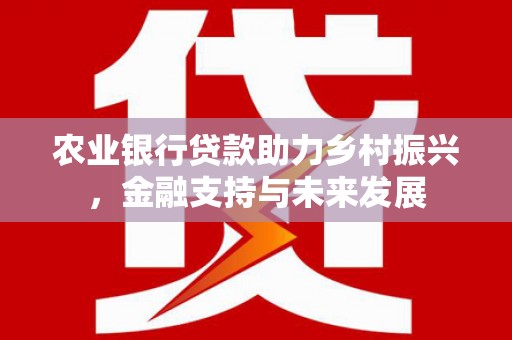 小港农业银行贷款助力乡村振兴，金融支持与未来发展