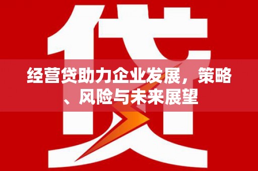 小港经营贷助力企业发展，策略、风险与未来展望