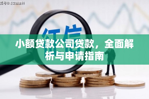 小港小额贷款公司贷款，全面解析与申请指南