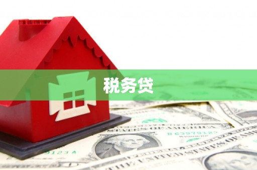 小港税务贷