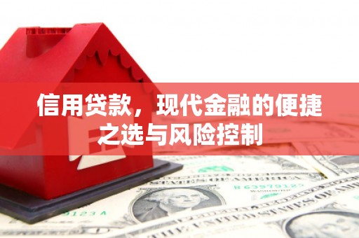 小港信用贷款，现代金融的便捷之选与风险控制