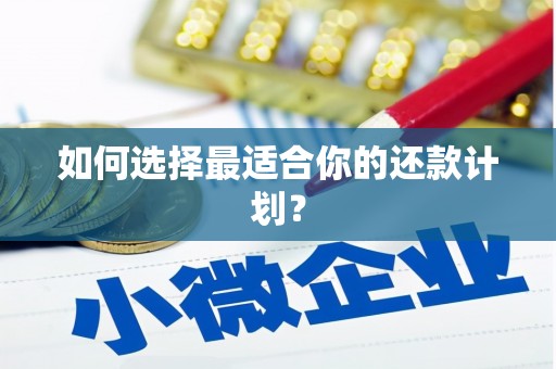 小港如何选择最适合你的还款计划？