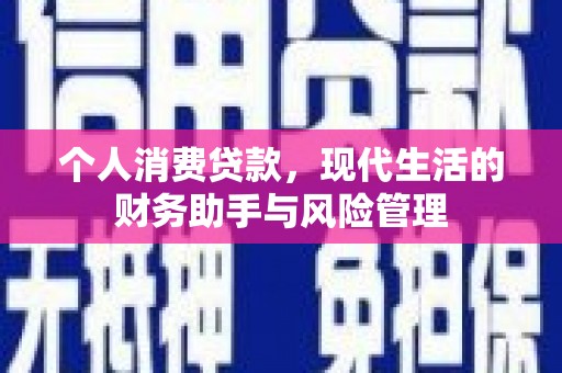 小港个人消费贷款，现代生活的财务助手与风险管理