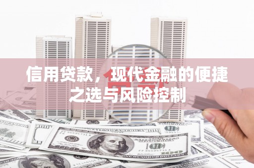 小港信用贷款，现代金融的便捷之选与风险控制