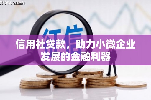 小港信用社贷款，助力小微企业发展的金融利器