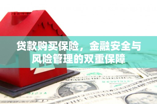 小港贷款购买保险，金融安全与风险管理的双重保障