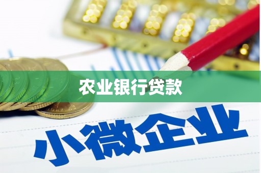 小港农业银行贷款