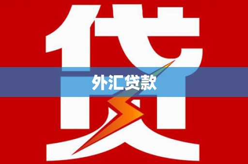 小港外汇贷款