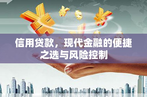 小港信用贷款，现代金融的便捷之选与风险控制