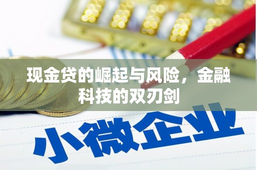 小港现金贷的崛起与风险，金融科技的双刃剑