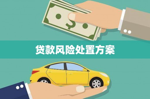 小港贷款风险处置方案