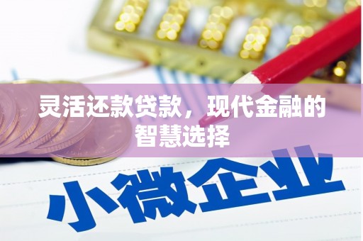 小港灵活还款贷款，现代金融的智慧选择