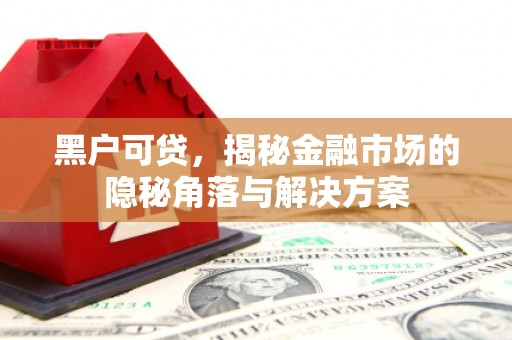 小港黑户可贷，揭秘金融市场的隐秘角落与解决方案