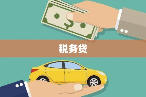 小港税务贷