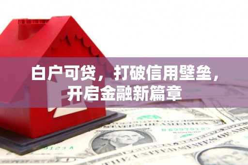 小港白户可贷，打破信用壁垒，开启金融新篇章
