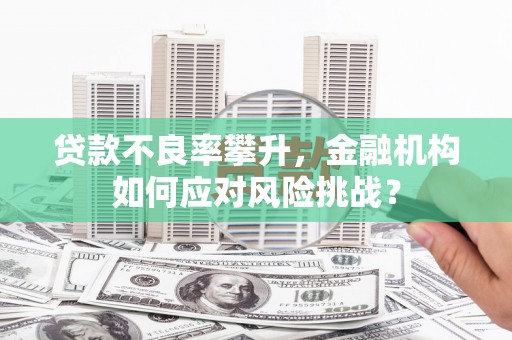 小港贷款不良率攀升，金融机构如何应对风险挑战？