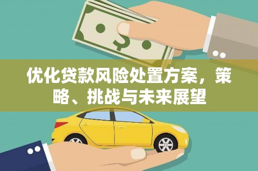 小港优化贷款风险处置方案，策略、挑战与未来展望