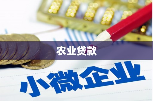小港农业贷款