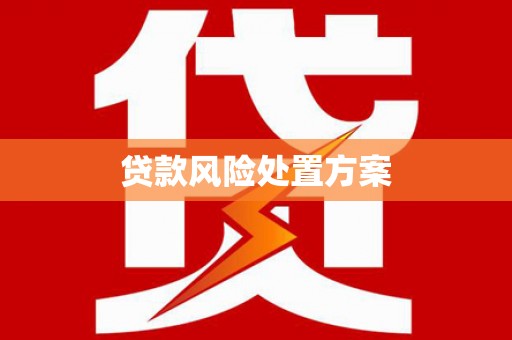小港贷款风险处置方案