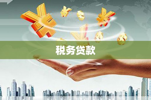小港税务贷款