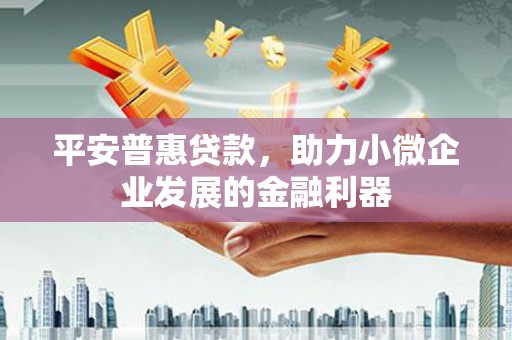 小港平安普惠贷款，助力小微企业发展的金融利器