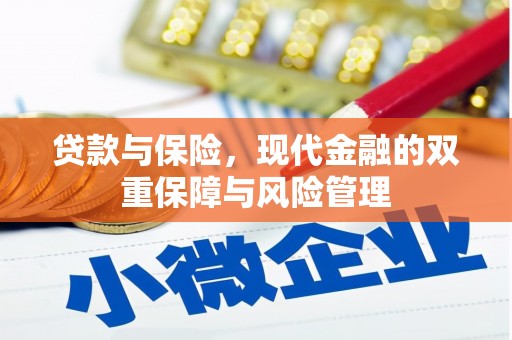 小港贷款与保险，现代金融的双重保障与风险管理